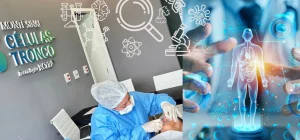 Células-tronco e o avanço das pesquisas: inovação que começa a transformar histórias 